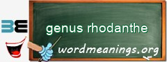 WordMeaning blackboard for genus rhodanthe